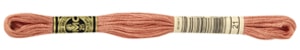 Hilo DMC Mouline 21
