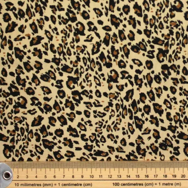 Leopardo — vista 2