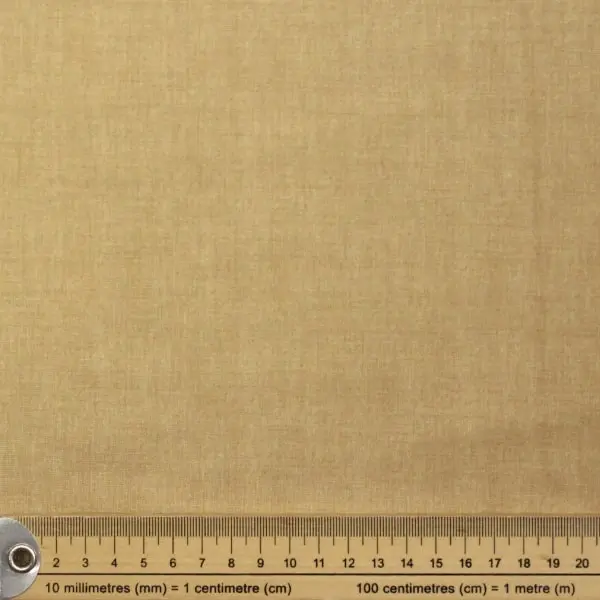 Q5 Maize — vista 2