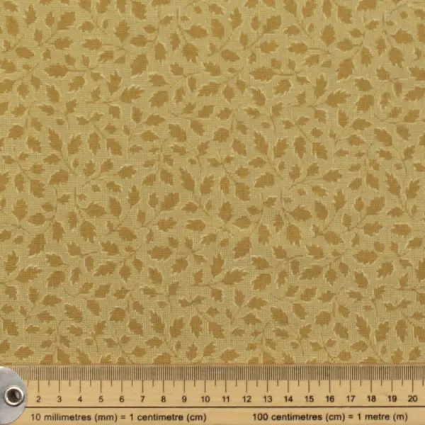 Ginger Gold — vista 2