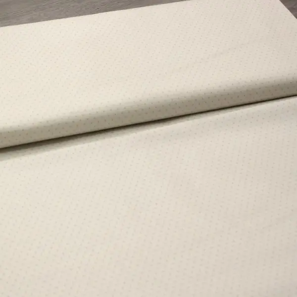 Wisdom Dots — vista 3