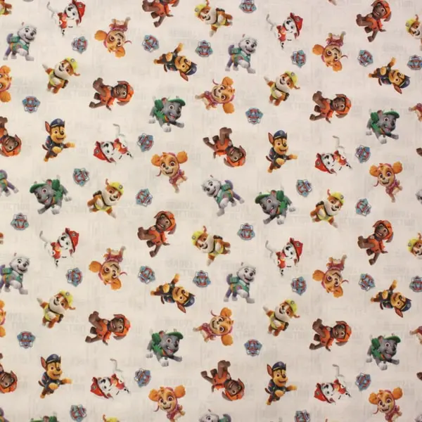 Los protagonistas de la Patrulla Canina sobre blanco