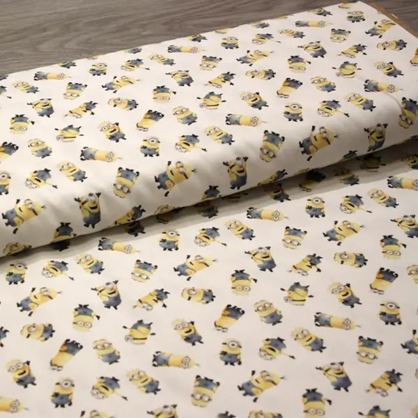 Minions 2 — vista 3