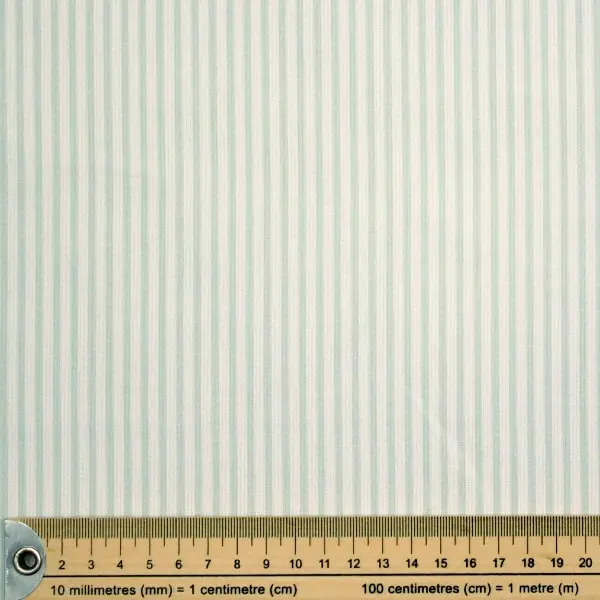 Mint Rayas — vista 2