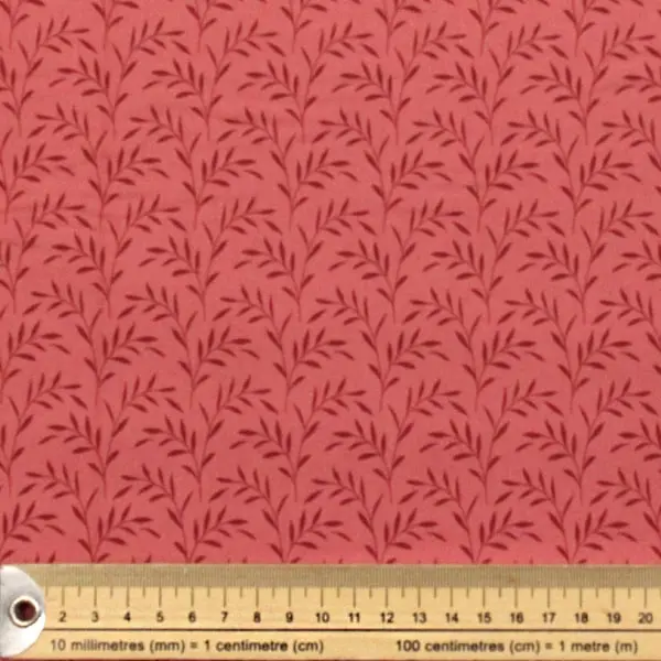 Olivebranch Rose — vista 2