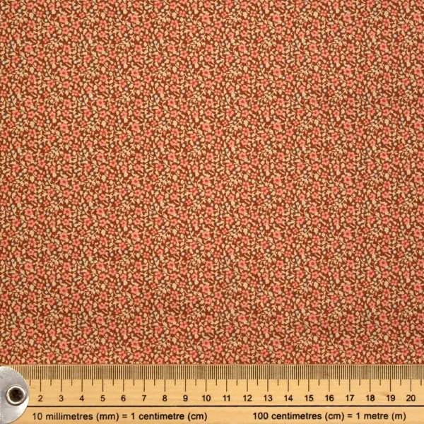 Brie Brown — vista 2