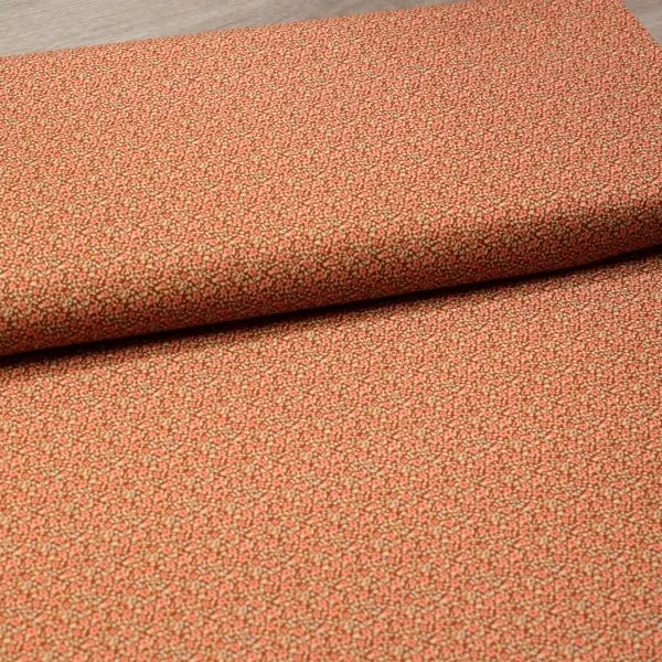 Brie Brown — vista 3