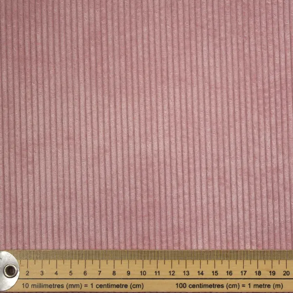 Pana gruesa Rosa — vista 2