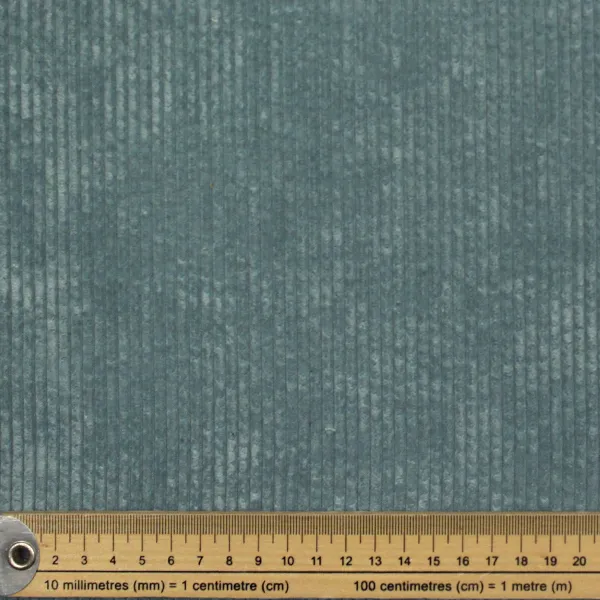 Pana Gruesa Turquesa — vista 2