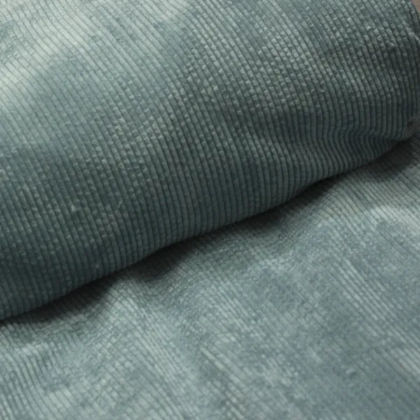 Pana Gruesa Turquesa — vista 3