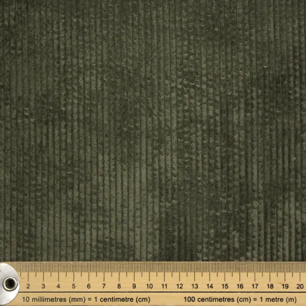 Pana Gruesa Verde — vista 2