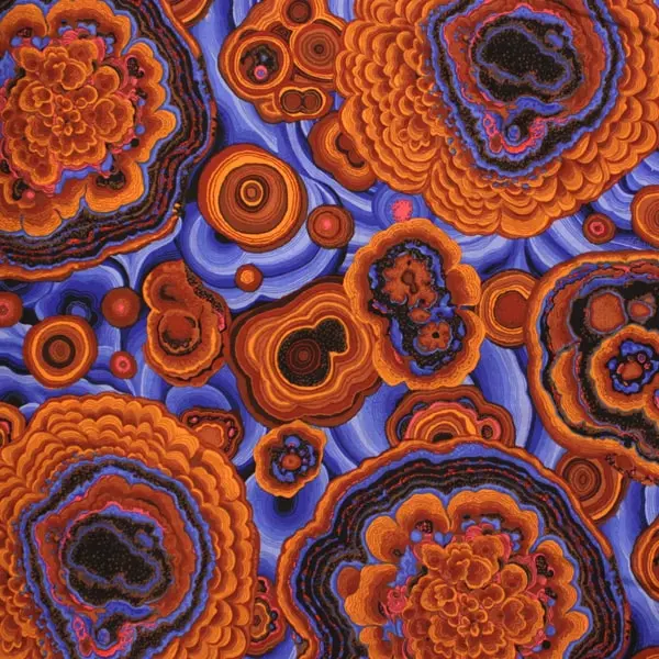 Estampado geométrico ocre en tela algodón Kaffe Fassett Agate Ochre de 110cm - Vista general
