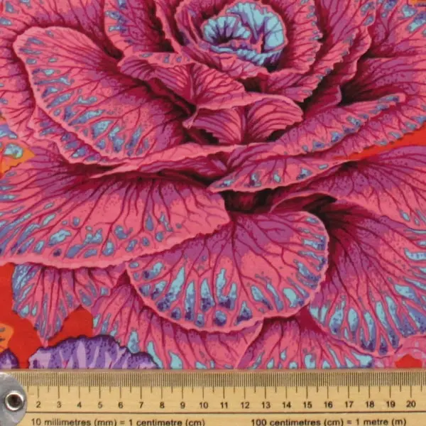 Tela de algodón Kaffe Fassett Curly Kale Red con diseño abstracto en fucsia de 110cm - Detalle de la textura y escala de medida