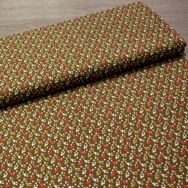 Otoño Flores, Flores blancas y rojas sobre fondo verde caqui — vista 3