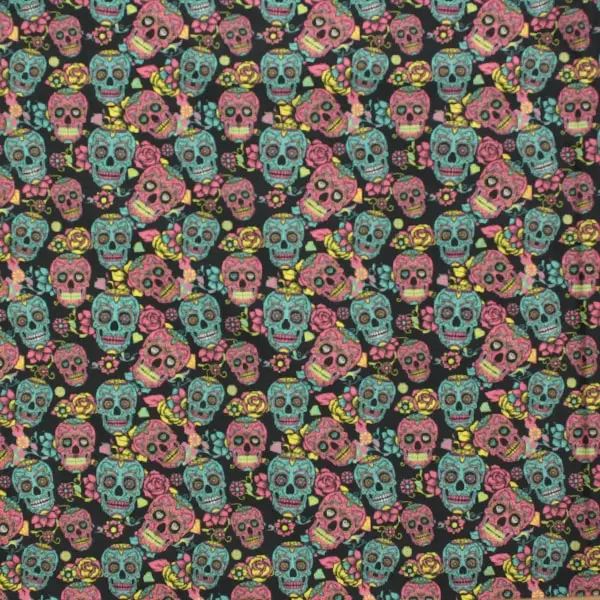 Catrinas, Las conocidas calaveras catrinas mexicanas en rosa y turquesa — vista 1