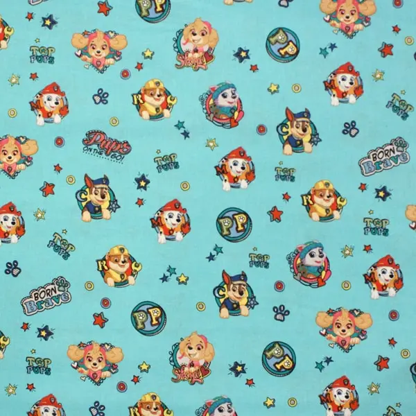 Patrulla Top Pups, Los protagonistas de la Patrulla Canina sobre azul turquesa — vista 1