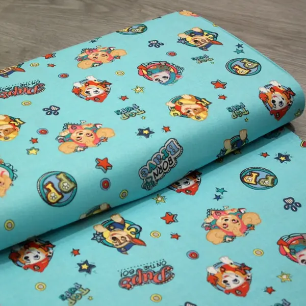 Patrulla Top Pups, Los protagonistas de la Patrulla Canina sobre azul turquesa — vista 3