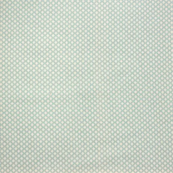 Red, Cuadrícula en forma de red color turquesa y fondo en blanco — vista 1