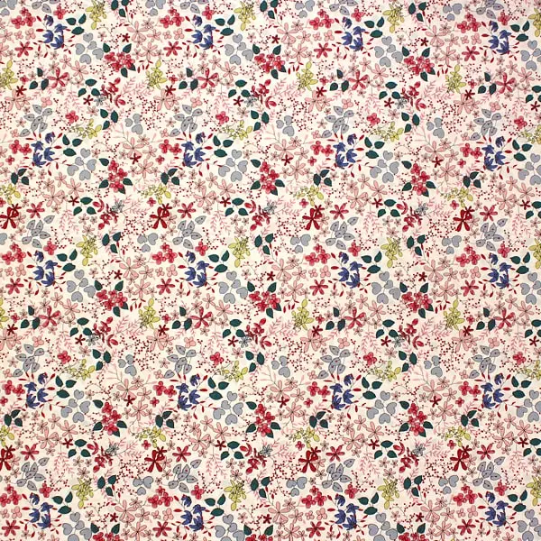 Flores Campestres, Flores campestres en varios colores. Fondo en blanco — vista 1